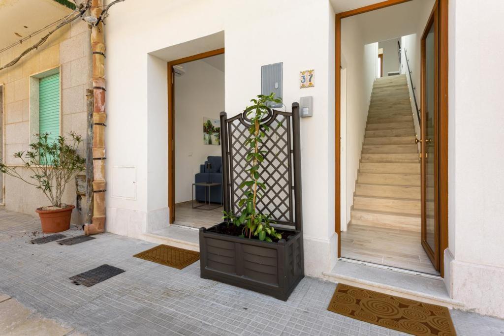 Bedda Luna Apartments San Vito Lo Capo Ngoại thất bức ảnh